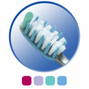 Crest Deep Clean Gum Care Toothbrush