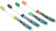 Gum Scene Sations Toothbrushes (6 Pack Value – Just 1.79 Per Brush)